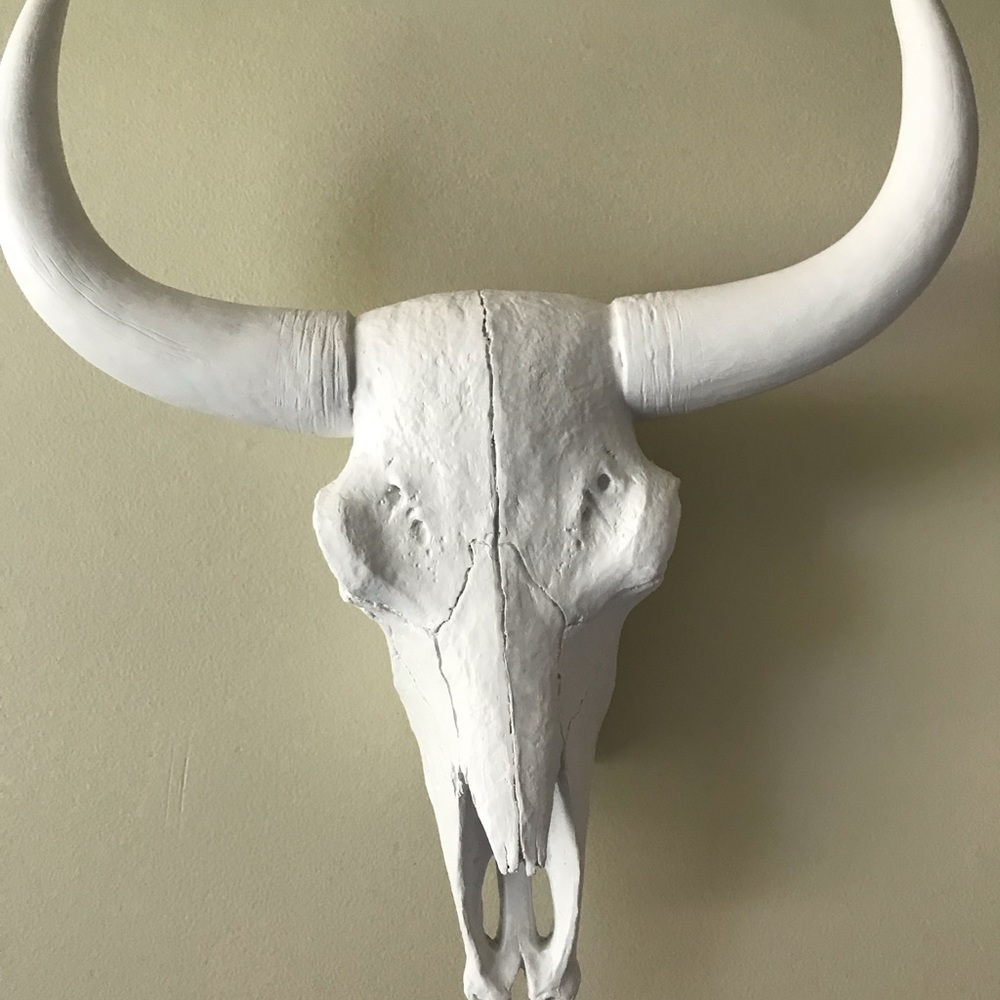 Ceramic cow skull